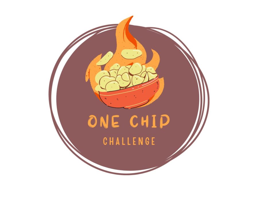 One Chip Challenge: School Edition